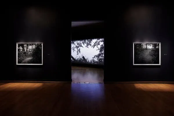 大象传媒 - 记忆守护者纪录片